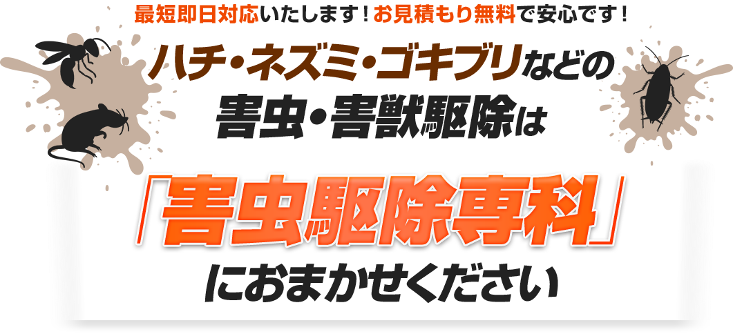 最短即日対応いたします！お見積もり無料で安心です！ハチ・ネズミ・ゴキブリなどの害虫・害獣駆除は「害虫駆除専科」におまかせください